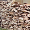 Wood-burning croaker L= 40 cm - image 11 | Product