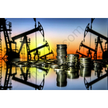 Инвестиции в добычу нефти и переработку нефтяных отходов - фото 11