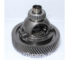 Differential assembly 35 spline ZL30G - image 11 | Product