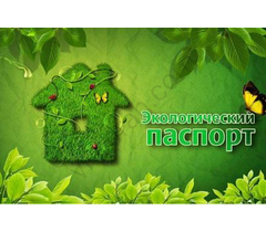 Environmental passport of a St. Petersburg enterprise - image 11 | Service