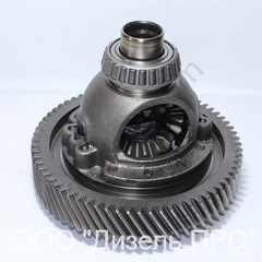 Differential assembly 35 spline ZL30G - image 11 | Product