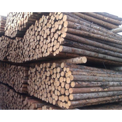 Round sawlog Larch, Siberian Pine (Eng), diameter from 8-40 cm and above 4.5.6 m. Grade 1,2,3(A,BC) - image 21 | Product