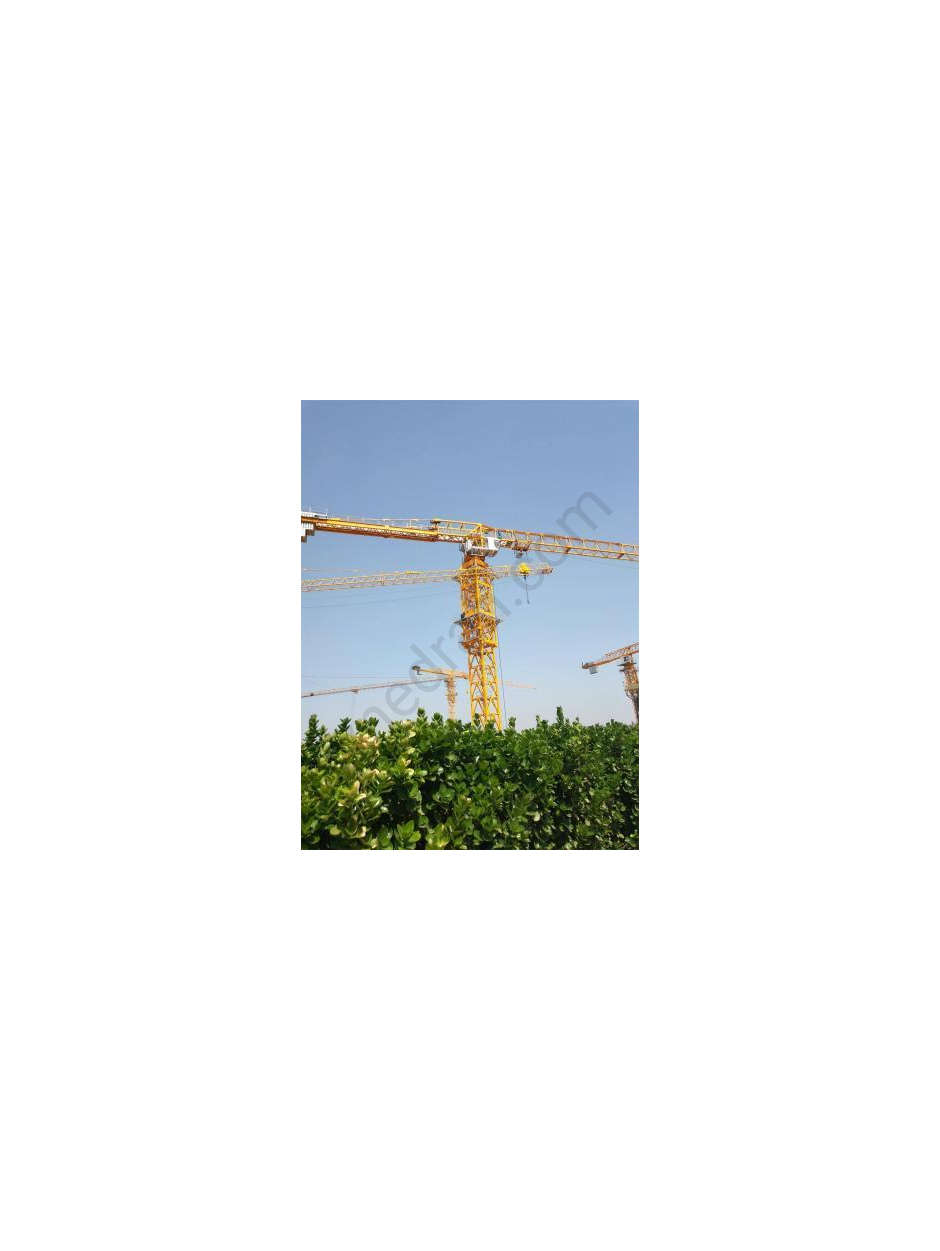 QTZ tower crane - image 100 | Equipment
