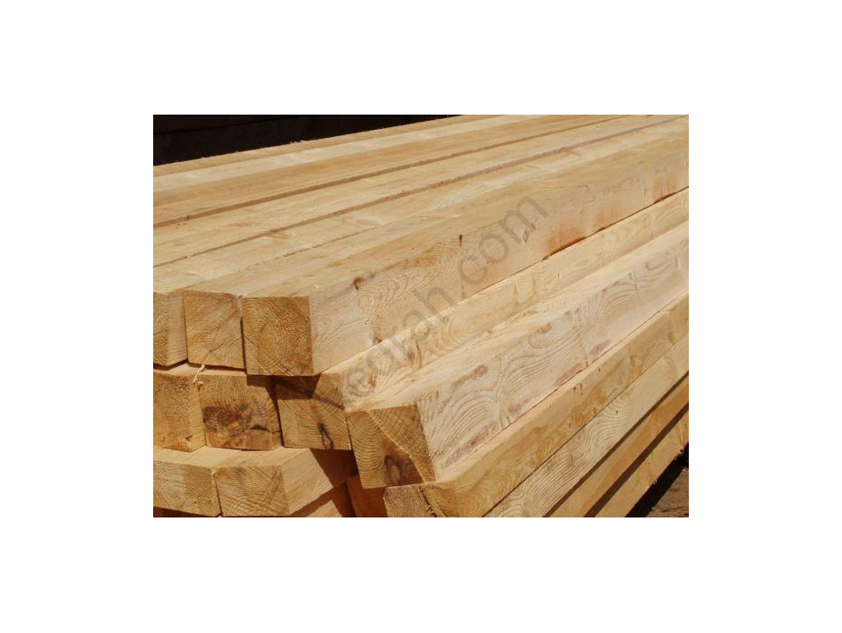 Holz - image 32 | Product
